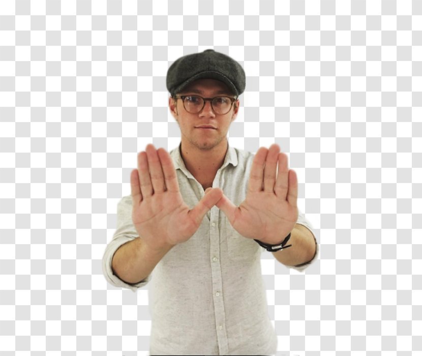 Niall Horan One Direction Mullingar Desktop Wallpaper - Flower - Walpepar Hd Daunlod 2017 Transparent PNG