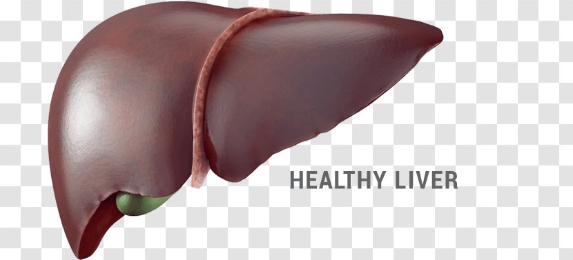 Liver Food Stock Photography Eating Health - Silhouette - Cells And Alcohol Transparent PNG