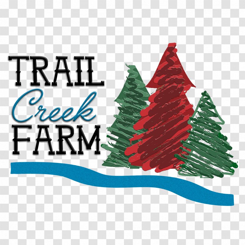 Christmas Tree Lindale Trail Creek Farm - Holiday Transparent PNG