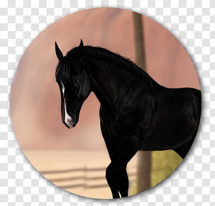 Mustang Mane Rein Stallion Mare - Bornlovely Transparent PNG
