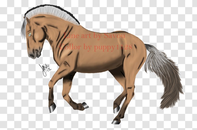 Mane Fjord Horse Pony Mustang - Like Mammal Transparent PNG
