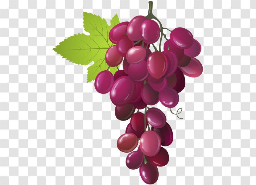 Common Fig Royalty-free Clip Art - Lingonberry - Grape Transparent PNG