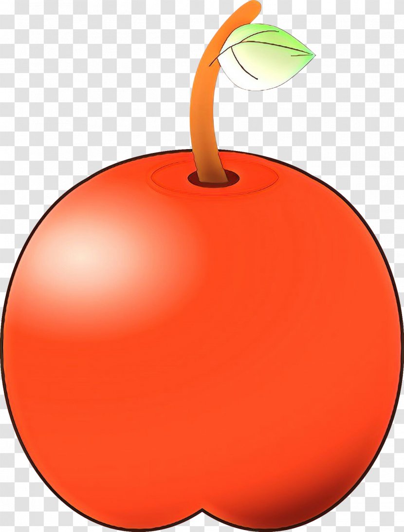 Orange - Drupe - Peach Apple Transparent PNG