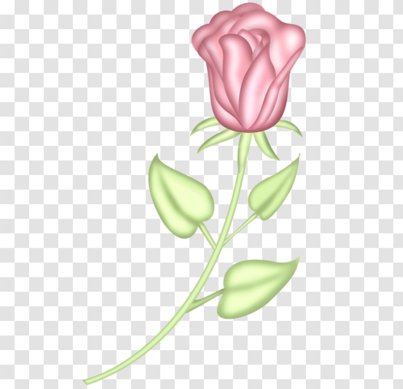 Pink Tulip Flower Icon - Petal - Tulips Transparent PNG