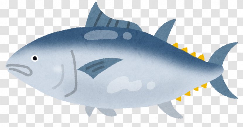 Sashimi Misaki Food Fish Chūtoro - Fin Transparent PNG