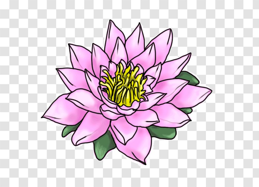 Drawing Flower Cartoon Painting Transparent PNG