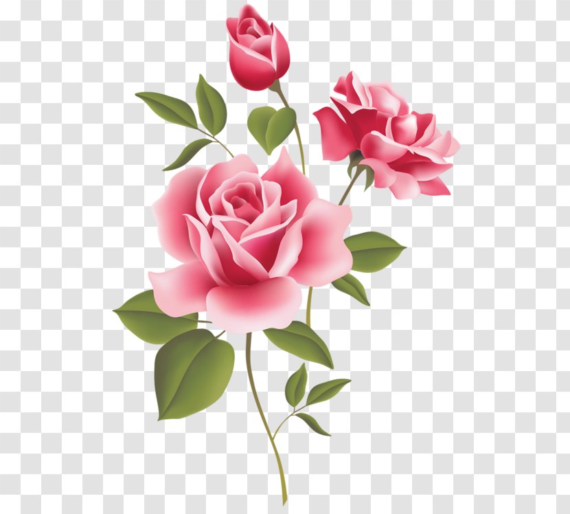 Rose Free Pink Clip Art - Flower Transparent PNG