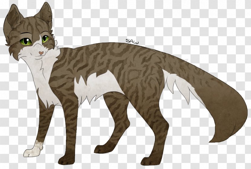 Whiskers DeviantArt Digital Art Drawing - Cat Like Mammal - Carnivoran Transparent PNG