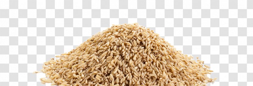 Oat Rice Whole Grain Cereal Germ Transparent PNG