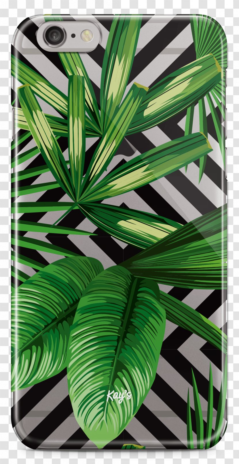 Thermoplastic Polyurethane Glass Crystal Mobile Phones Arecaceae - Tropical Woody Bamboos Materials Transparent PNG