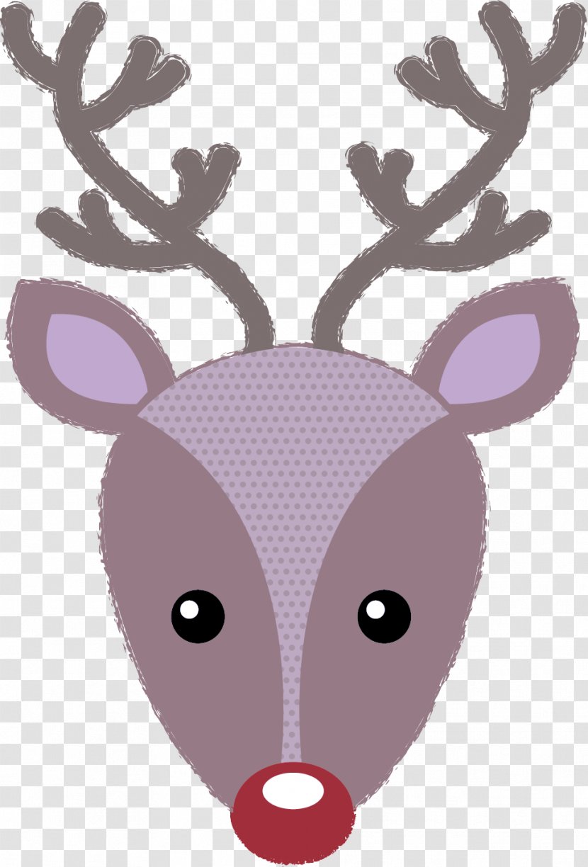 Reindeer - Fawn Snout Transparent PNG