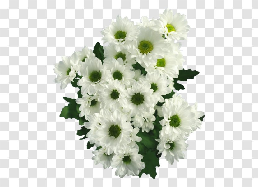Flower Bouquet Cut Flowers Chrysanthemum Floral Design - Plant Stem Transparent PNG
