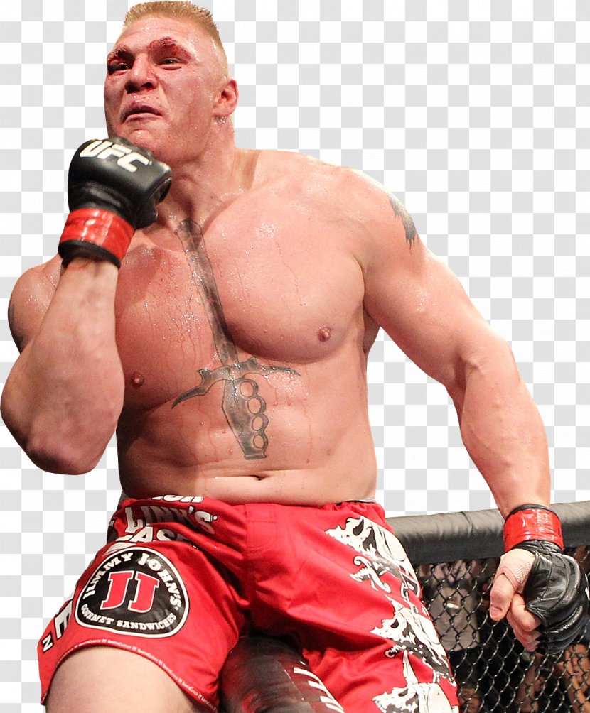 Brock Lesnar UFC 200: Tate Vs. Nunes Mixed Martial Arts Heavyweight Boxing - Tree Transparent PNG