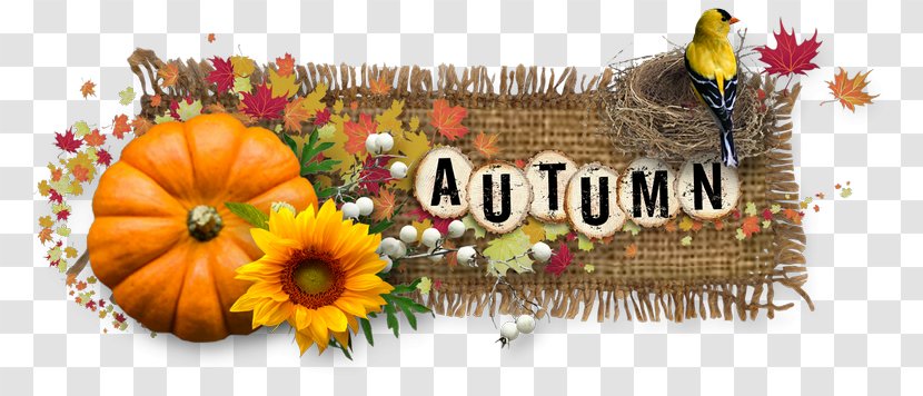Cat Image Chữ Viết Blog Text - Picture Frames - Happy Autumn We Are Grateful For You Transparent PNG