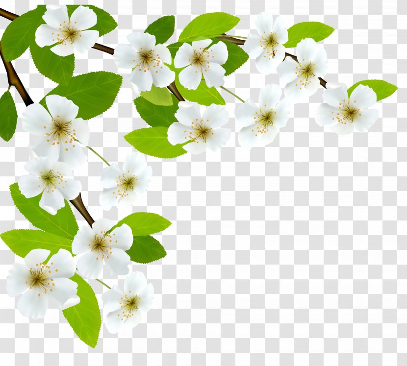 Branch Diagram Clip Art - Leaf - White Spring Clipart Image Transparent PNG