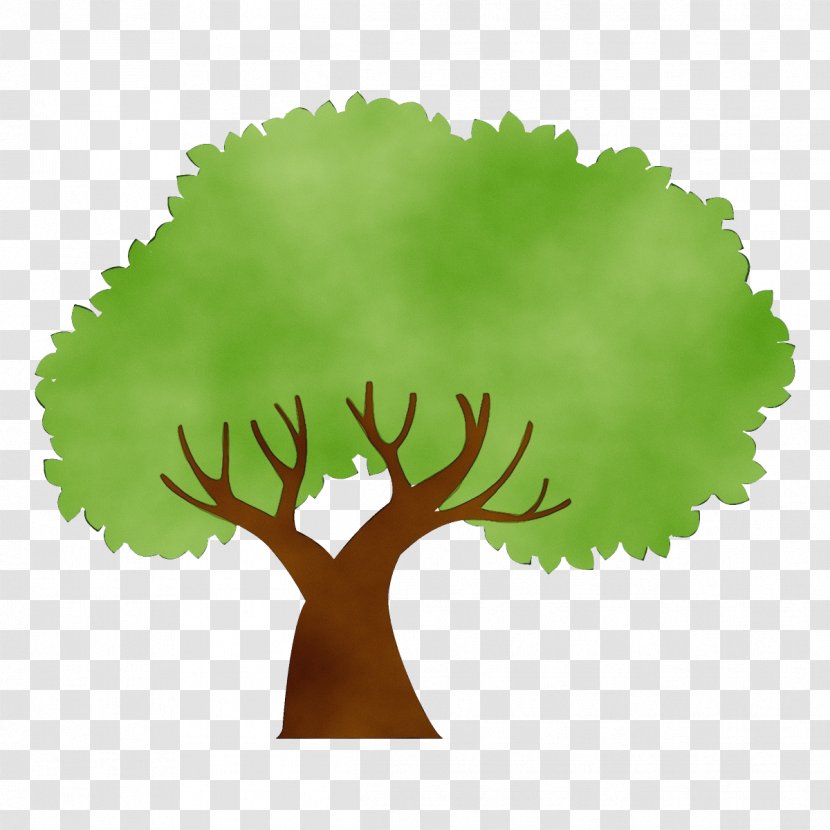 Arbor Day - Plant Transparent PNG