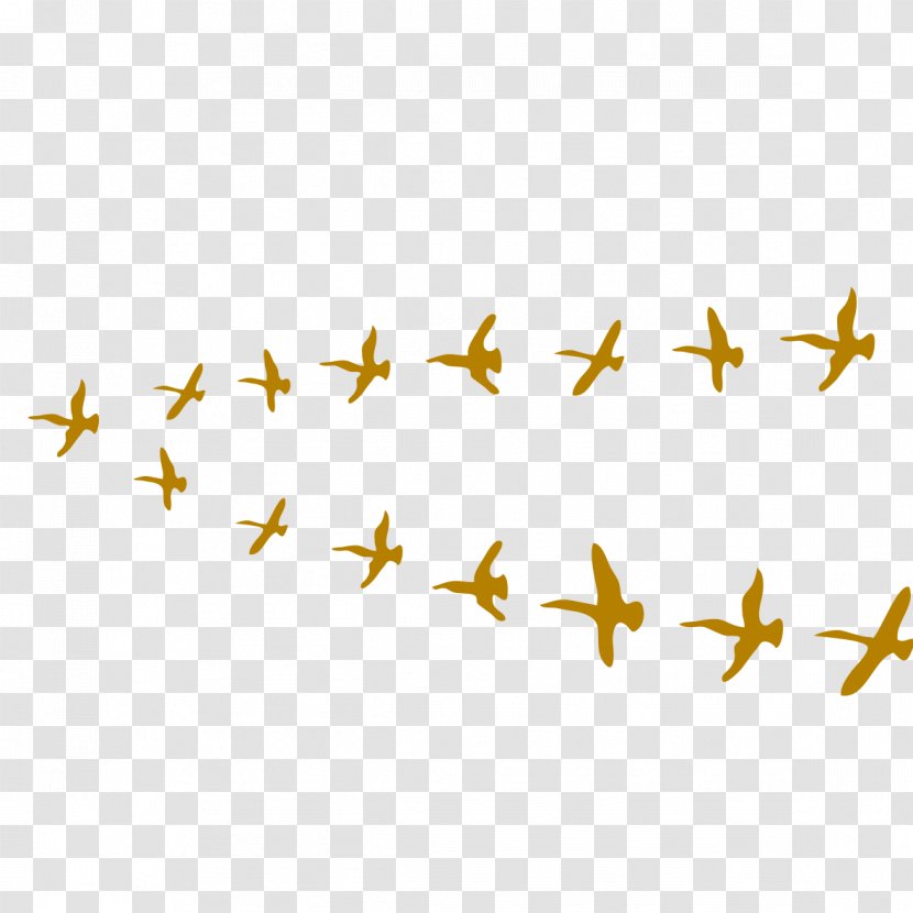 Bird Flocks Yellow - Symmetry - Flock Transparent PNG