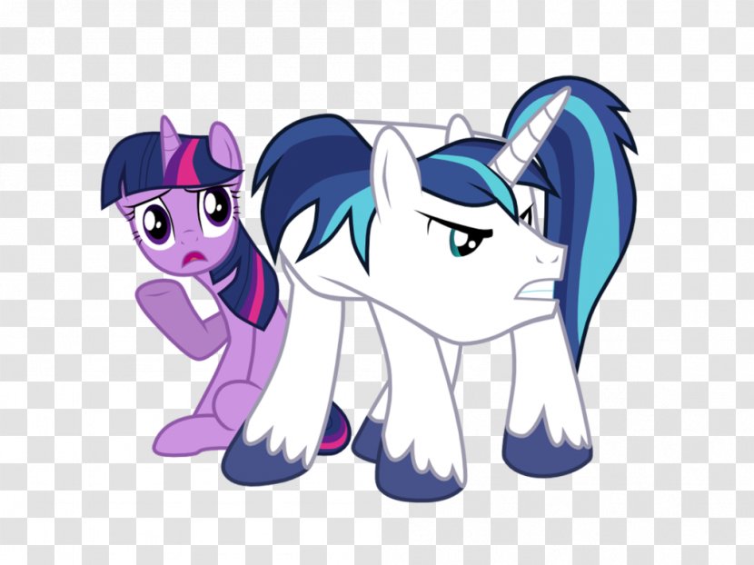 Pony Twilight Sparkle Shining Armor Princess Cadance Rainbow Dash - Flower - Spark Daughters Transparent PNG
