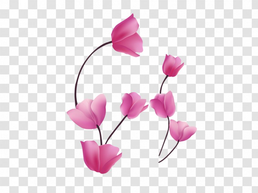 Sentience Falling In Love Tulip Breakup - Petal Transparent PNG