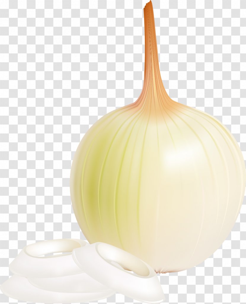 Yellow Onion Vegetable Food Transparent PNG