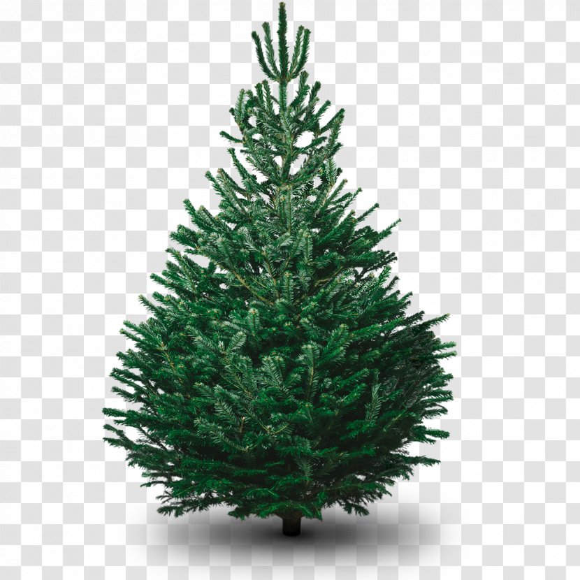 Artificial Christmas Tree Decoration - Fir - Pull Down Transparent PNG