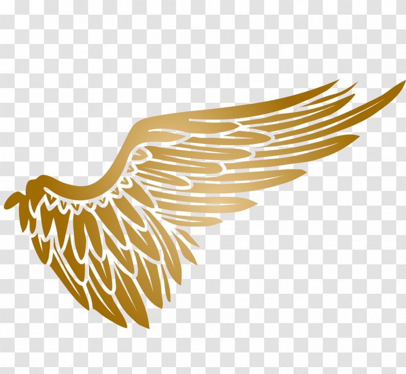 Game On Sports Complex Arena Volleyball League Basketball - Feather - Golden Wings Transparent PNG