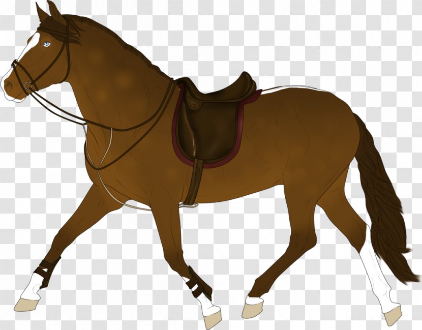 Mule Pony English Riding Bridle Stallion - Livestock - Horse Tack Transparent PNG