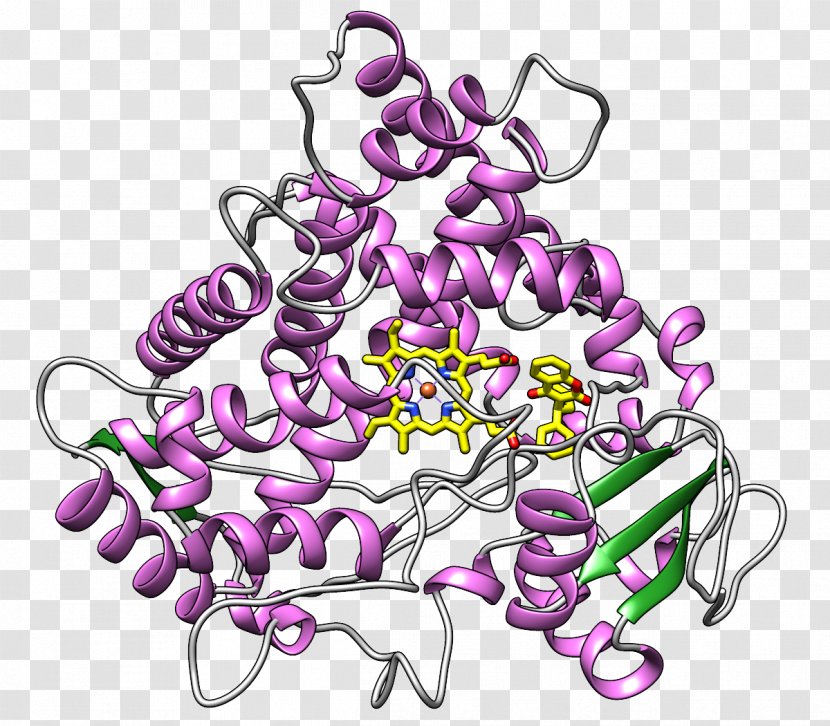 Cytochrome P450 CYP2C9 Active Site Enzyme Substrate Transparent PNG
