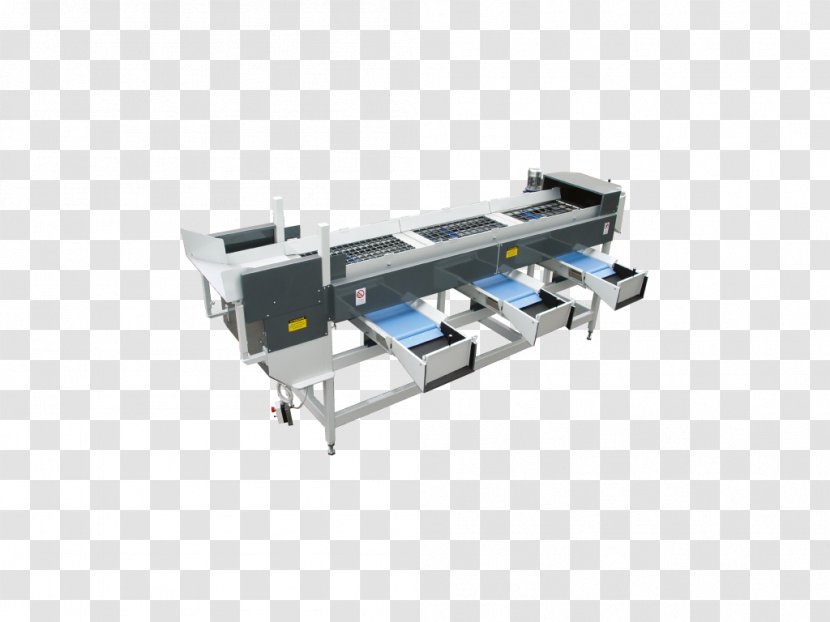 Machine Material-handling Equipment Conveyor System Manufacturing Material Handling - Fruit Logistica Transparent PNG
