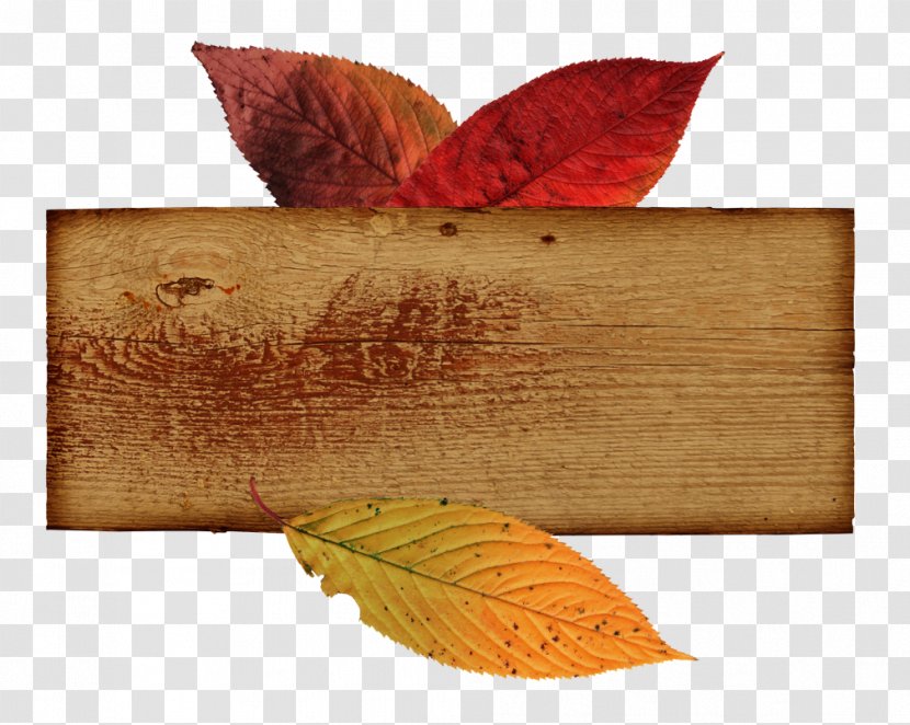 Animaatio Autumn - Text - Olive Leaf Transparent PNG