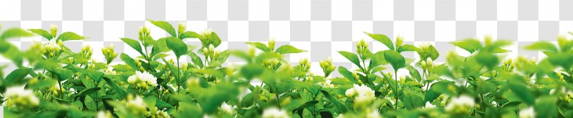 Evaporative Cooler Fan Solar Power - Lawn - Gardenia Flower Background Transparent PNG