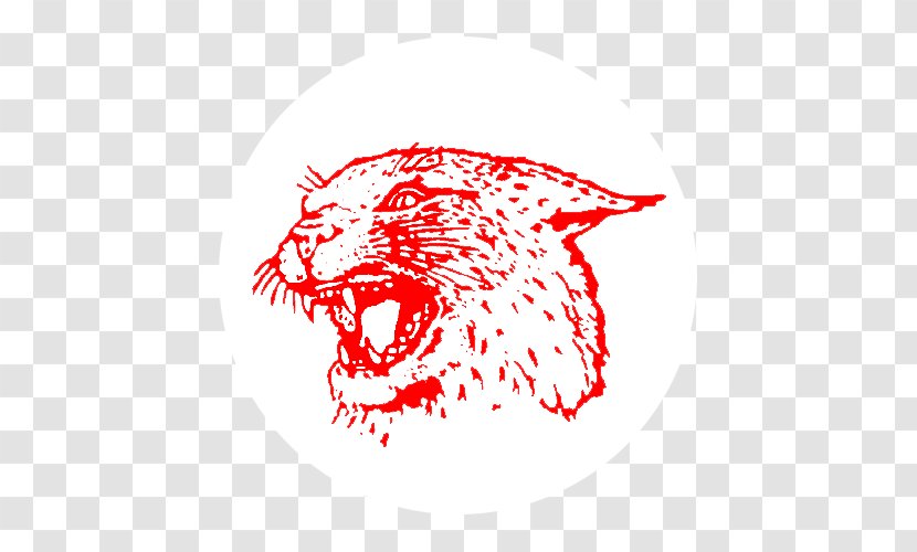 Upper Perkiomen High School Whiskers Cleveland Indians District Boyertown - Area - Small To Medium Sized Cats Transparent PNG