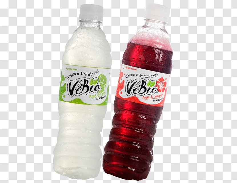 Plastic Bottle Fizzy Drinks Water Carbonation Flavor - Drinking - Aguas Frescas Transparent PNG