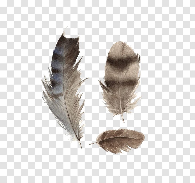 Paper Panel Painting Feather Wood - Online Shopping - Cartoon Black Feathers Transparent PNG