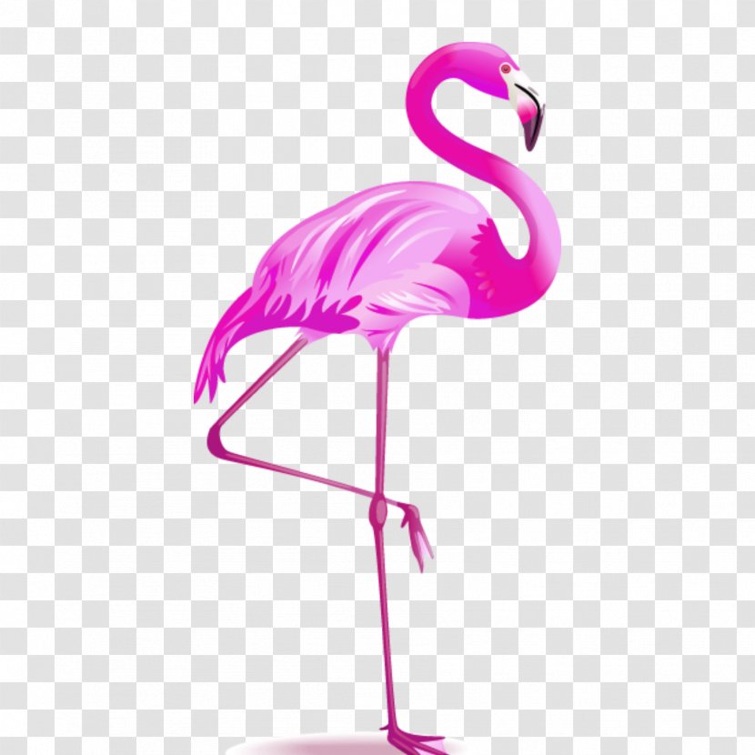 Vector Graphics Flamingo Image Illustration - Beak Transparent PNG