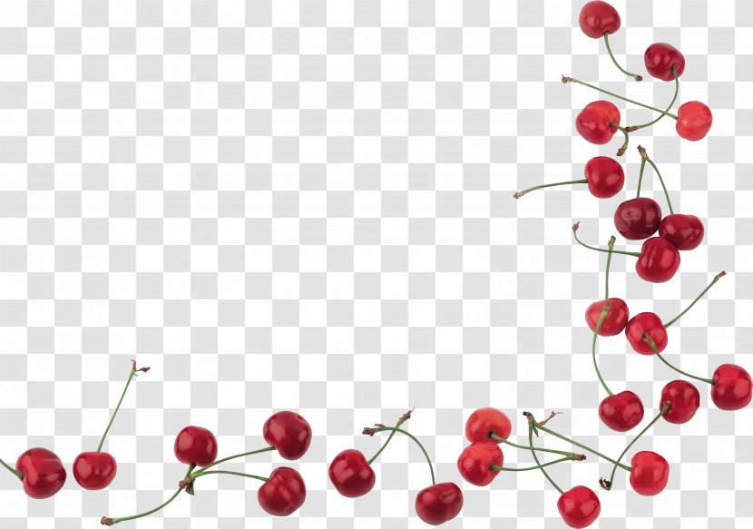 Cherry - Berry Transparent PNG
