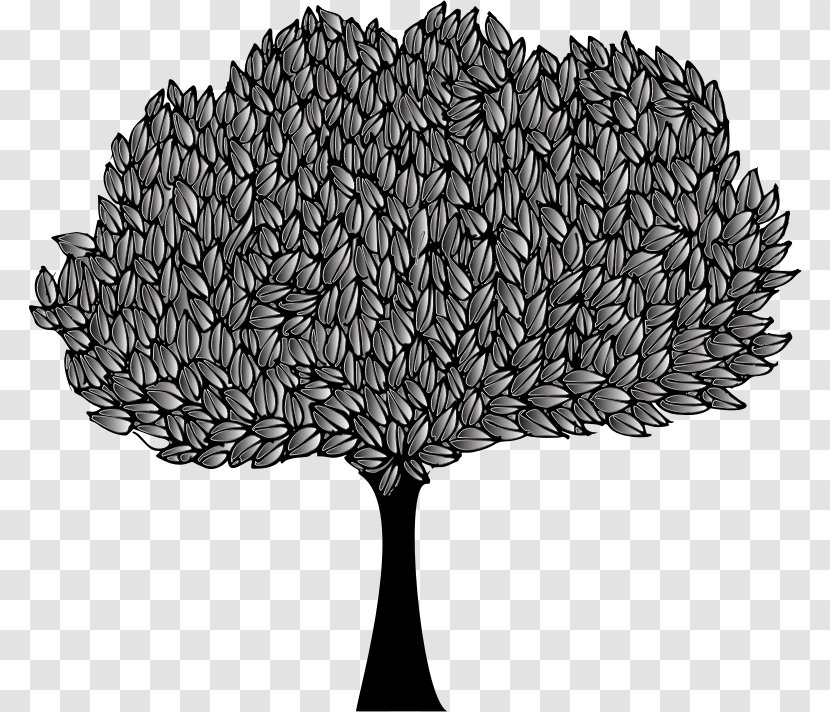 The Great Banyan Clip Art Vector Graphics Image - Drawing - Tree Transparent PNG