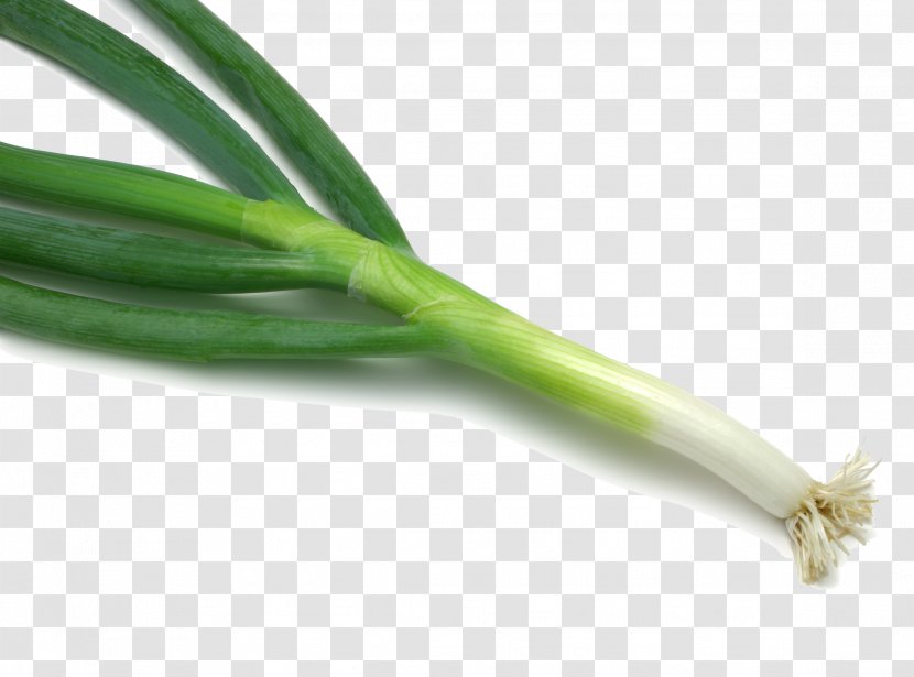 Chinese Cuisine Shallot Vegetable Fruit Scallion - Onion - HD Green Onions Transparent PNG