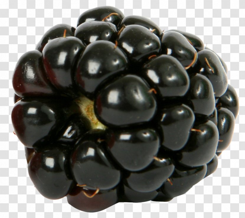 Blueberry Blackberry Raspberry Fruit - Currant Transparent PNG