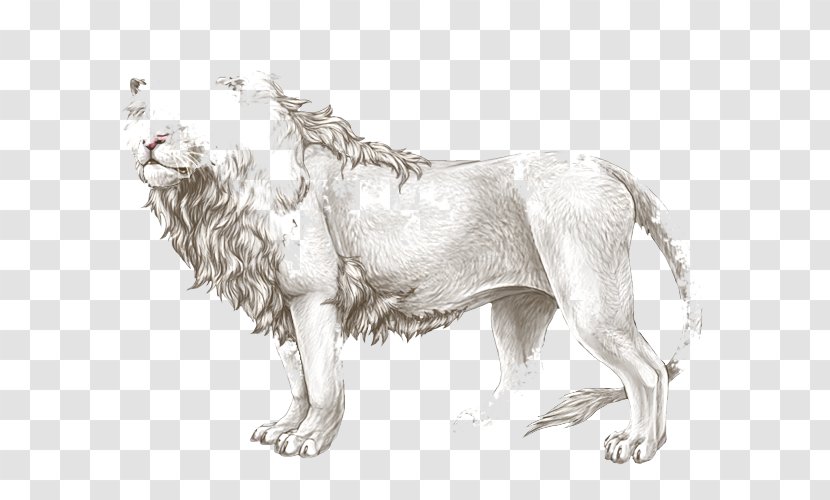 Lion Dog Breed Big Cat - Organism Transparent PNG