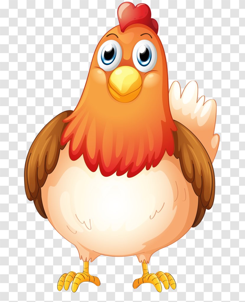 Stock Photography Royalty-free Clip Art - Can Photo - Chicken Transparent PNG