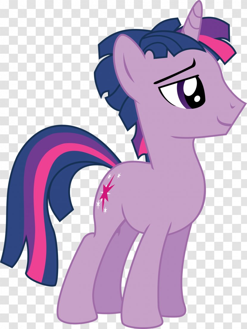 My Little Pony Twilight Sparkle Rarity DeviantArt - Magenta Transparent PNG