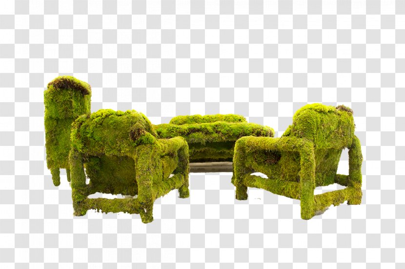 Table Chair Seat Chaise Longue - Grass Family - Green Transparent PNG