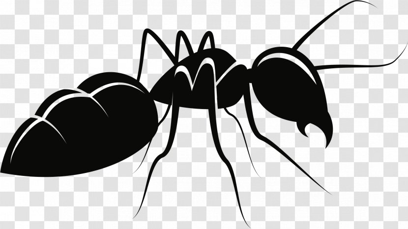 Ant Mosquito Insect Clip Art Transparent PNG