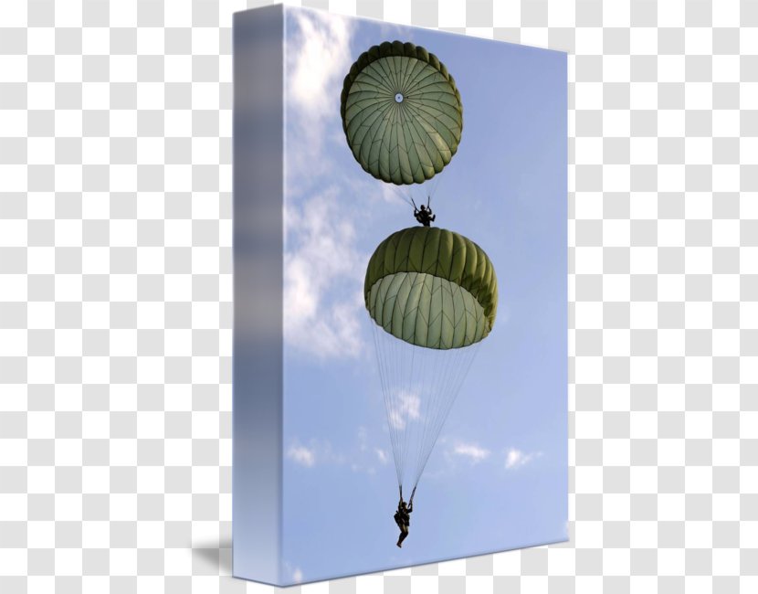 United States Army Airborne School Parachuting Paratrooper Parachute Military - Sky - Jump Transparent PNG