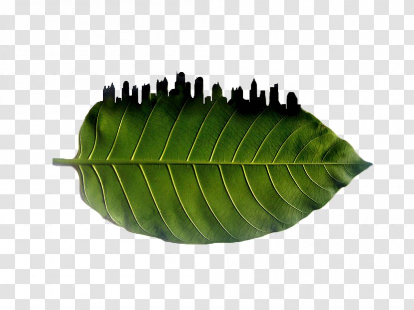 Environmental Protection Green 0571 City - Leaf - Foliage Silhouette Transparent PNG