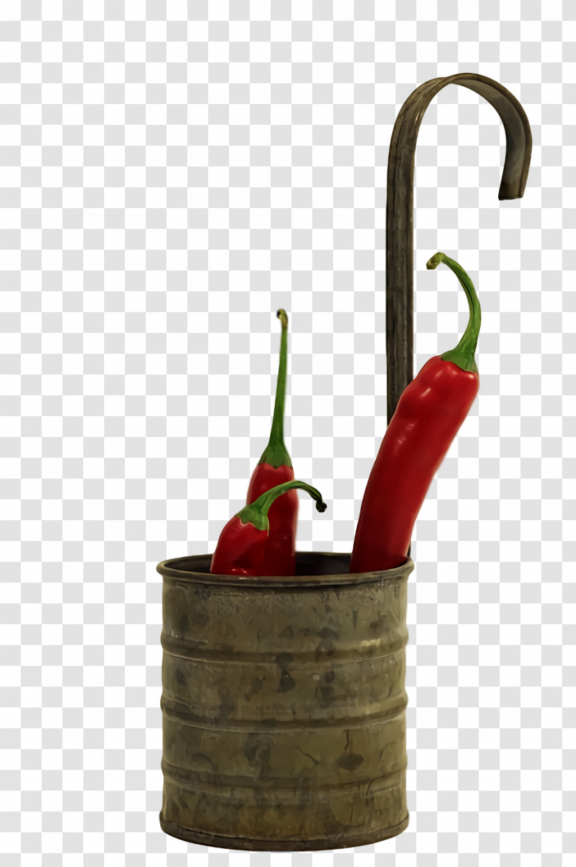 Chili Pepper Flowerpot Transparent PNG