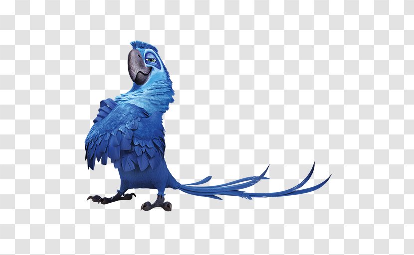 Jewel Blu Rio Linda Icon - Blue - Parrot Transparent PNG