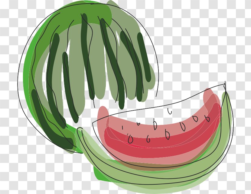 Watermelon Illustration - Plant - Hand-painted Transparent PNG