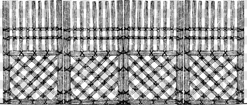 Euclidean Vector - Mesh - Cell Portal Material Transparent PNG